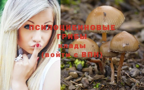 кокаин премиум Дмитриев