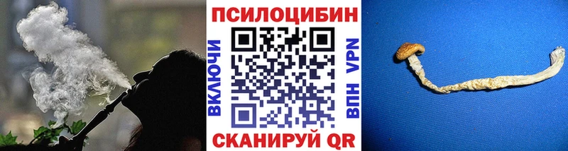 Псилоцибиновые грибы прущие грибы hydra зеркало Енисейск