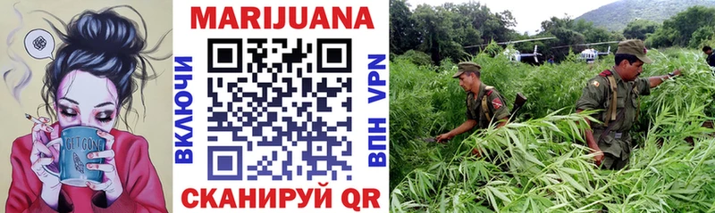 Каннабис OG Kush  Енисейск 